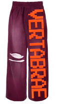 Vertabrae Pants Sweatpant 'Burgundy/Orange'